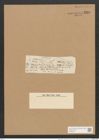 Berkeleya rutilans var. tenuis (Kuetz.) Grun. (de-Toni-Nr.: Genus 21, Species 1218) Zeichnungen Sammlung Grunow Nr. 2358 (NHMW-BOT-W0369491)